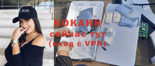 сатива Пролетарск