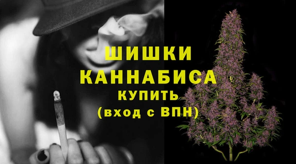 apvp Протвино