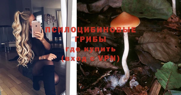 сатива Пролетарск