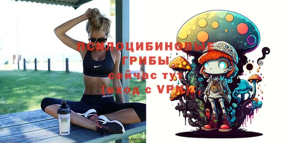 apvp Протвино