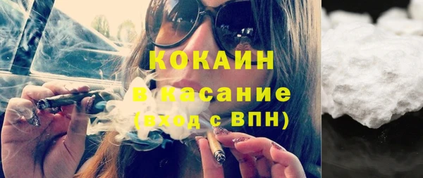 сатива Пролетарск
