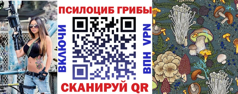 Псилоцибиновые грибы Cubensis  omg зеркало  Фрязино 