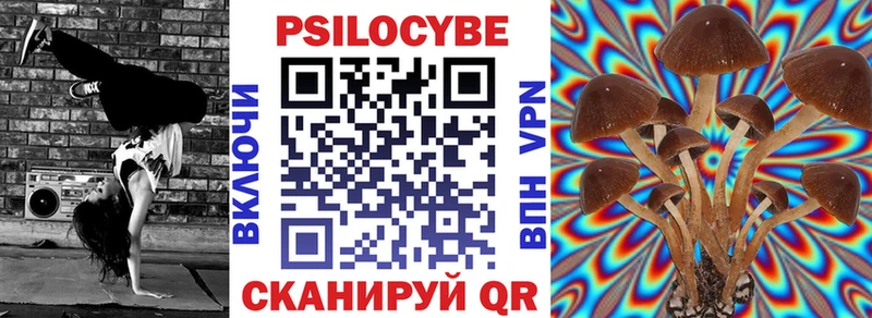 Псилоцибиновые грибы Psilocybe Фрязино